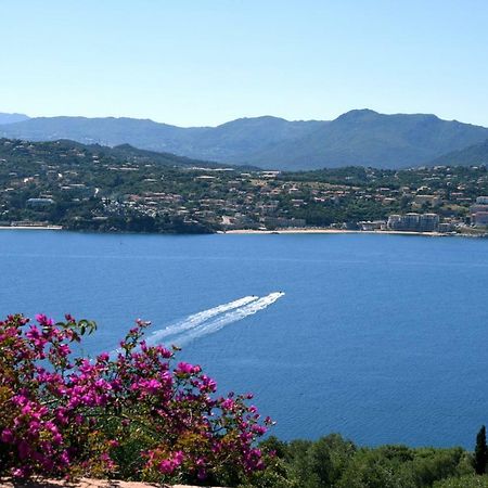Villa Vetricella Corse Sud Olmeto  Zewnętrze zdjęcie