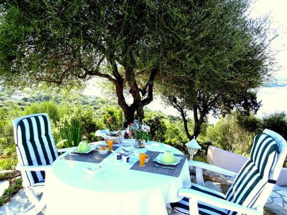 Villa Vetricella Corse Sud Olmeto  Zewnętrze zdjęcie